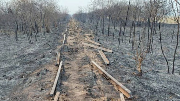 Salta: el hijo de un intendente continúa detenido por robo y&nbsp;contrabando