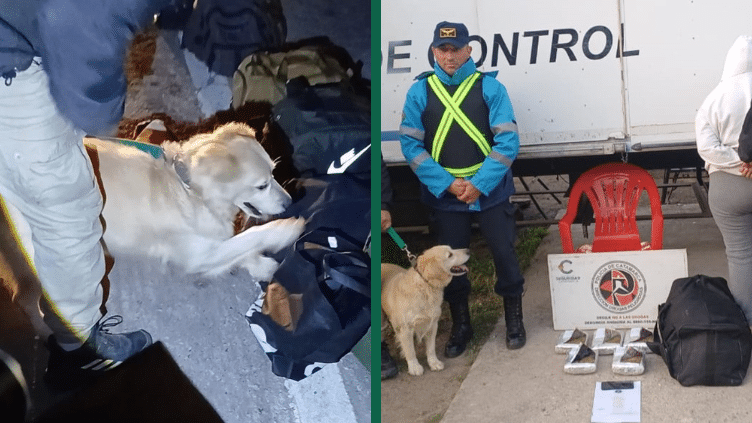 Catamarqueña llevaba casi 6 kg de marihuana en un&nbsp;colectivo