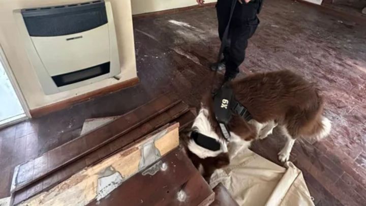 Encontraron una granada activa mientras refaccionaban un departamento en&nbsp;Recoleta