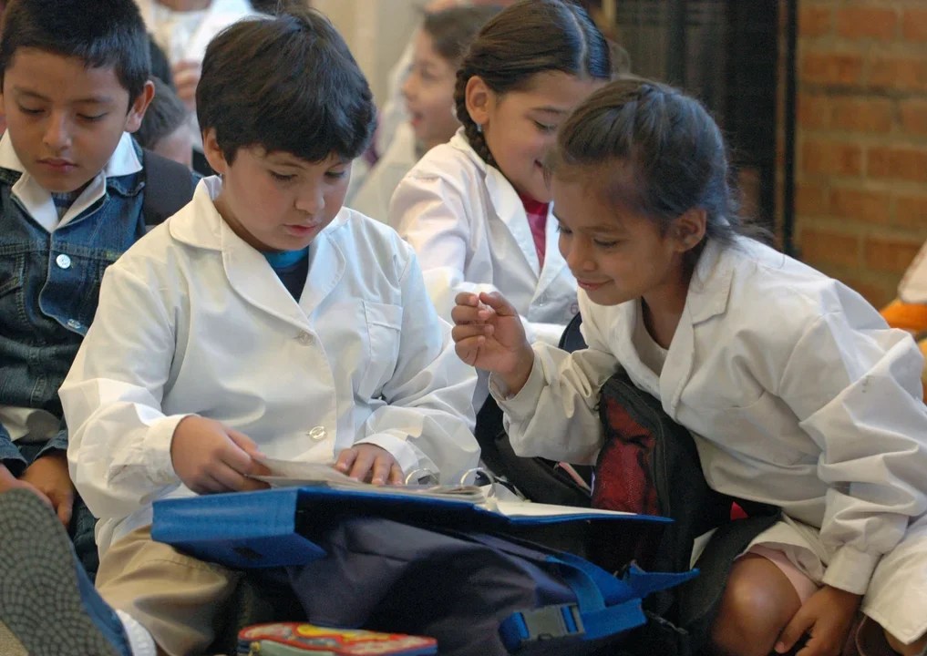 Alumnos de primaria alcanzaron los mejores resultados en Lengua de la última&nbsp;década